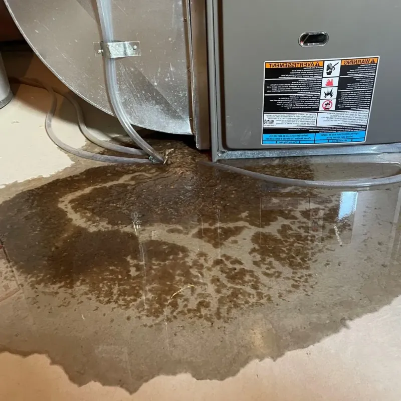 Pipe Burst and Leak Restoration in Dunn Loring, VA
